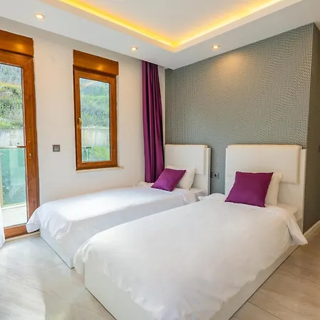 Villa Luxury *